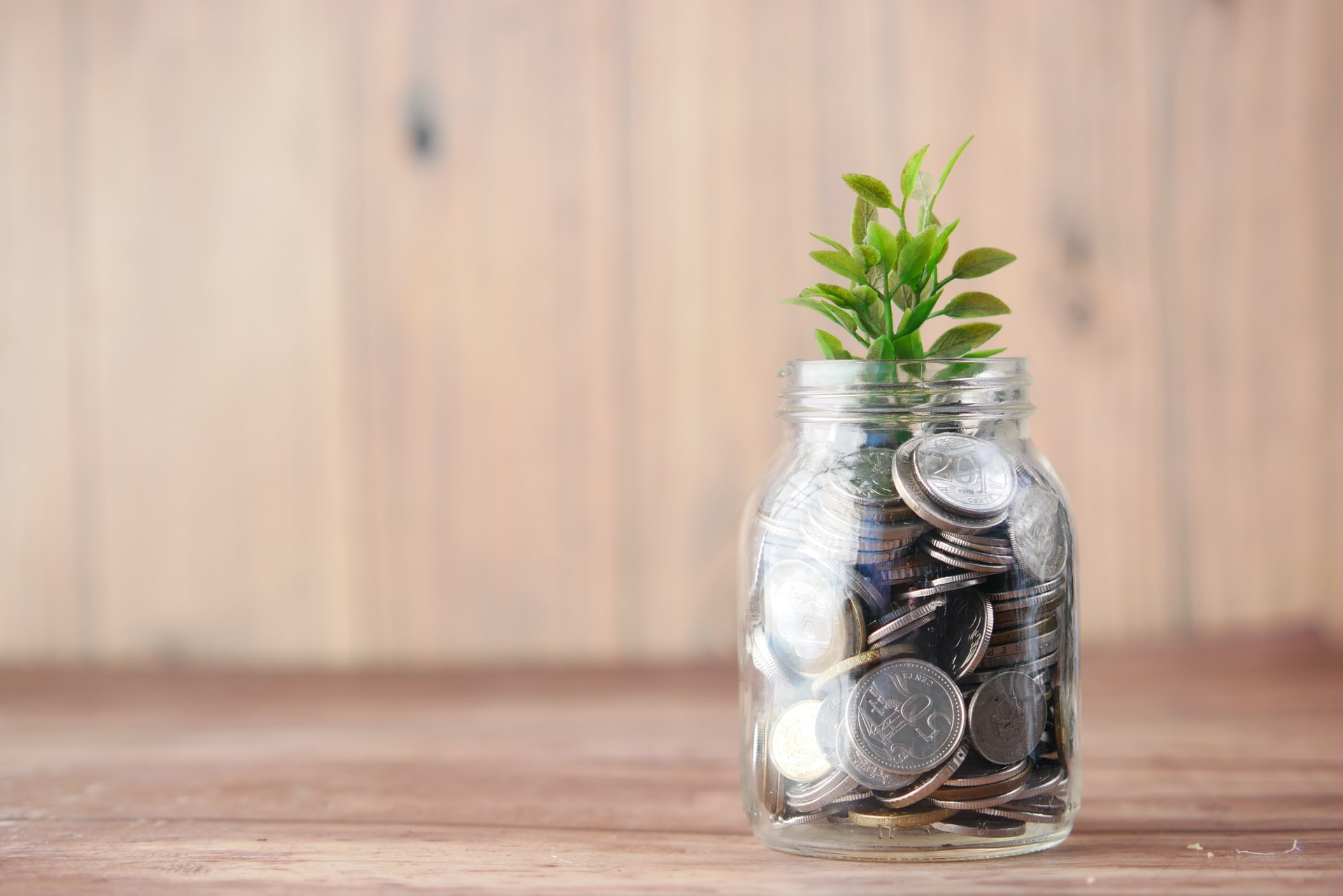 glass-jar-filled-with-money-and-a-plant-growing-out-of-it