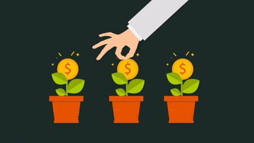 cartoon-image-of-money-growing-on-small-plants