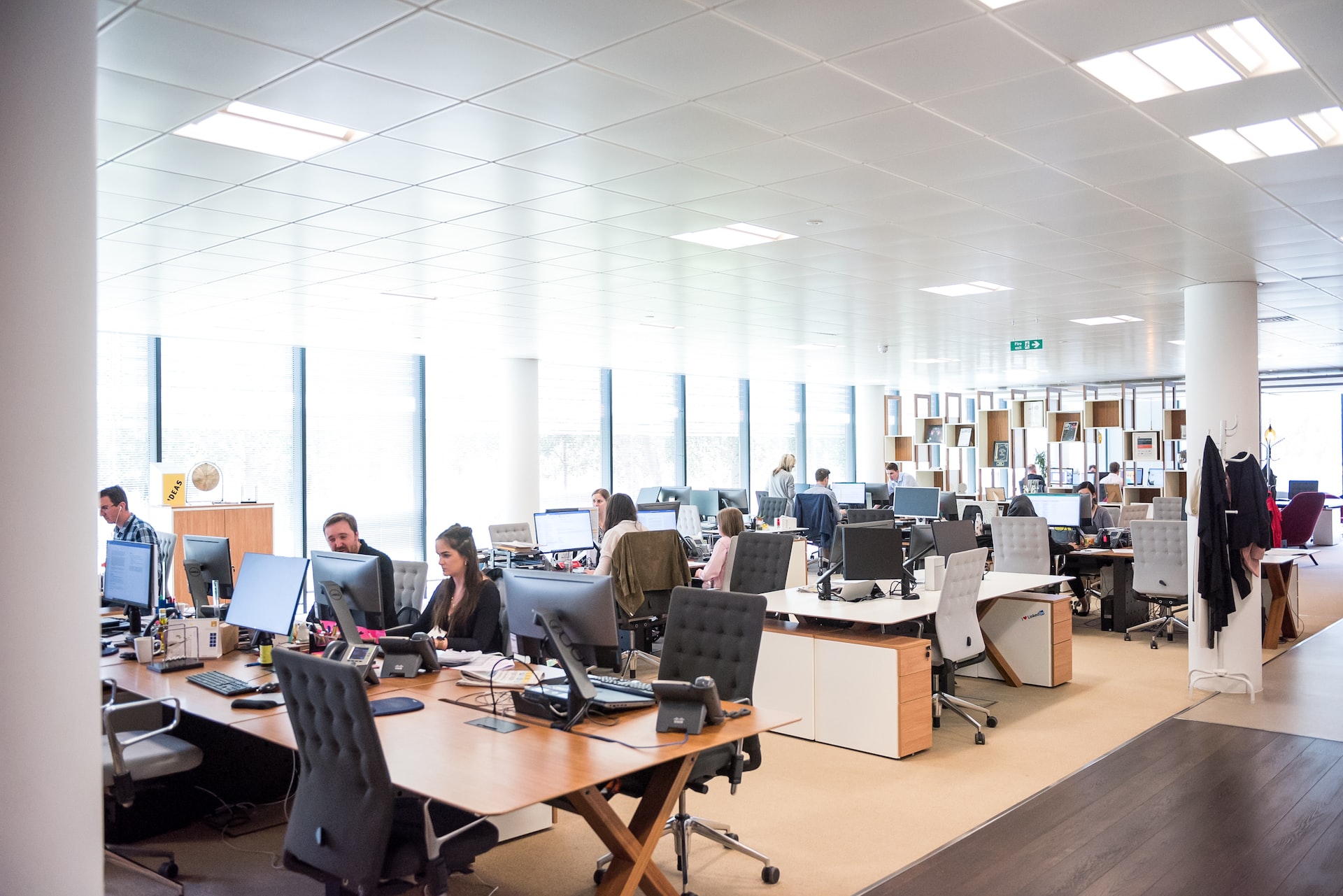 bright-office-space-with-employees-working-at-desks